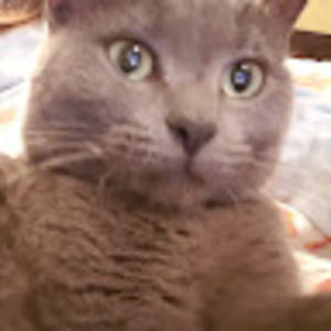 Meet your Posher, Caroline